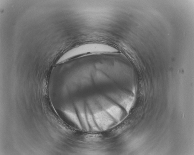 X0000088080465200706011543