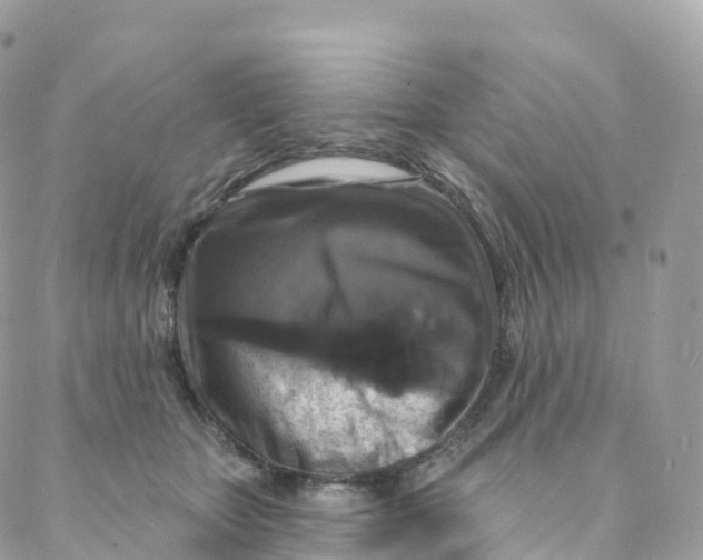 X0000088080467200706011543