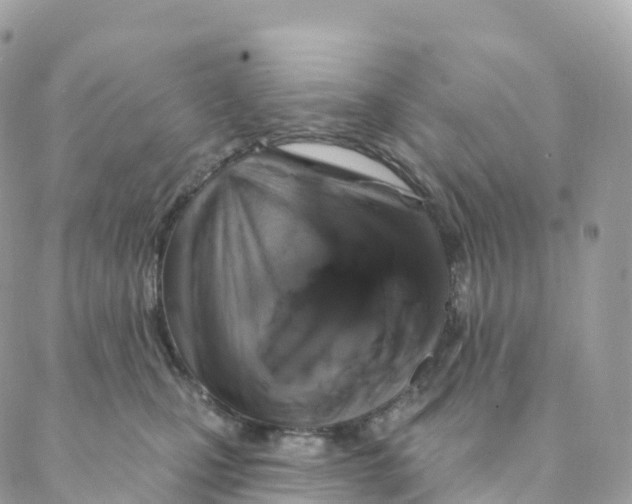 X0000088080471200706011543