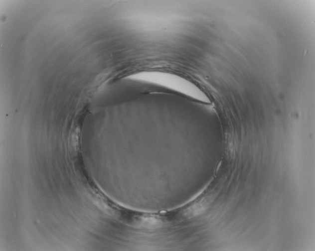 X0000088080475200706011543