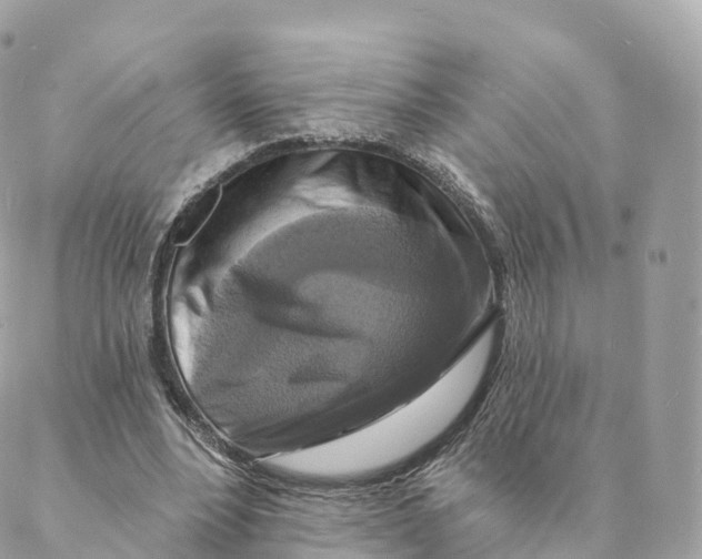X0000088080488200706011542