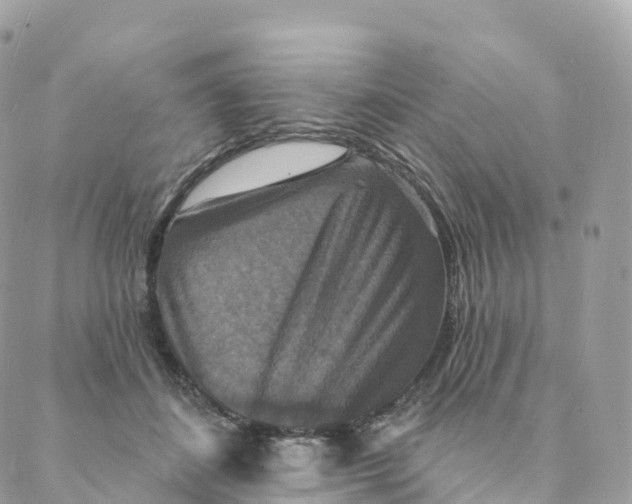 X0000088080508200706011542