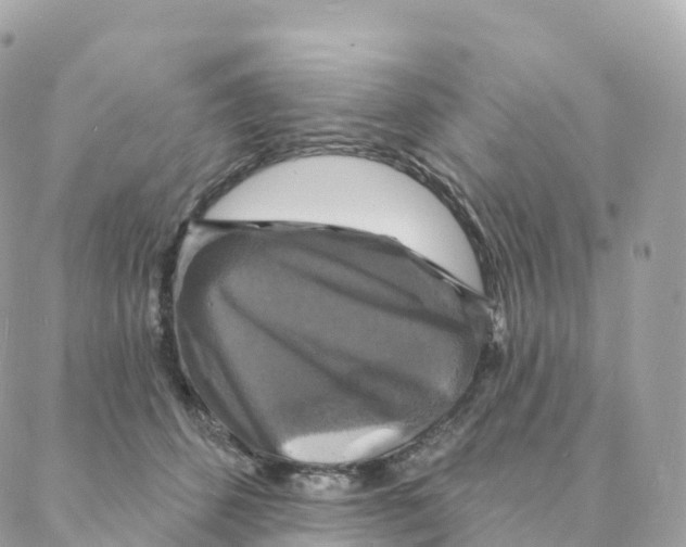 X0000088080512200706011542