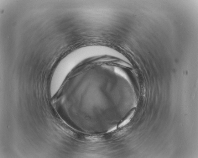 X0000088080516200706011542