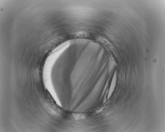 X0000088080520200706011542