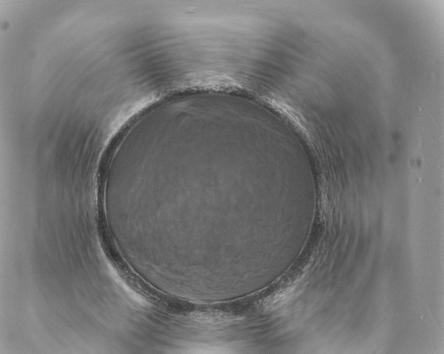 X0000088080630200706011539