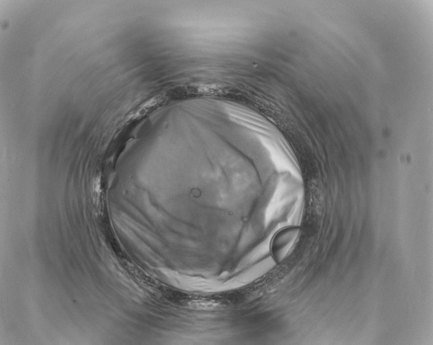X0000088080650200706011540