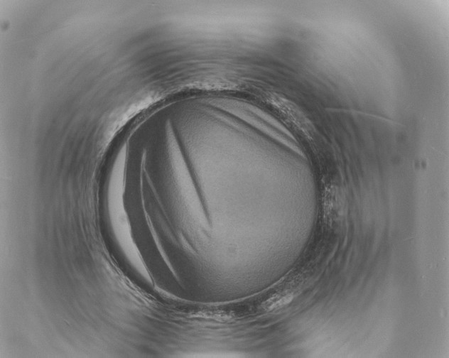 X0000088080727200706011538