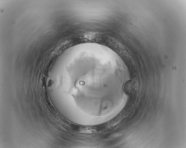 X0000088080754200706011538
