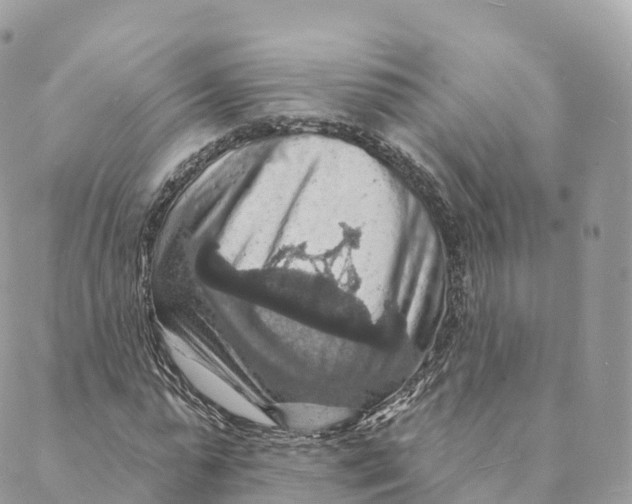 X0000088080775200706011537