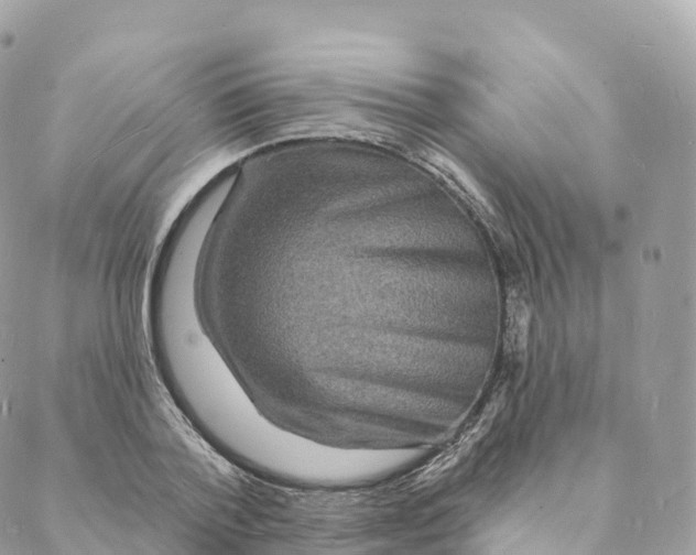 X0000088080788200706011537