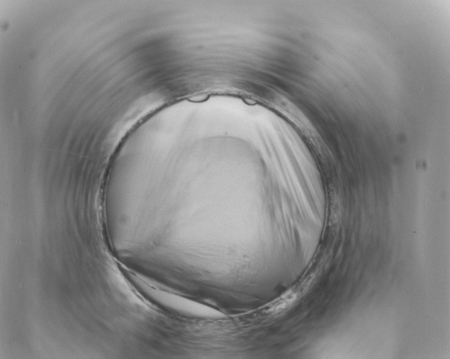 X0000088080806200706011537