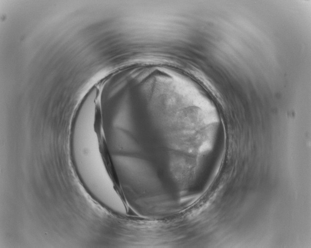 X0000088080853200706011537
