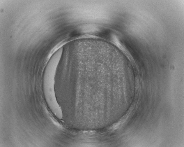 X0000088080858200706011537