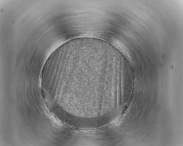 X0000088080900200706011535