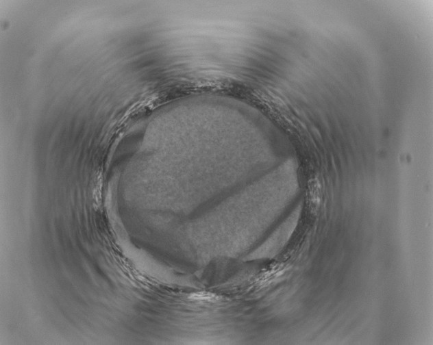 X0000088080916200706011535