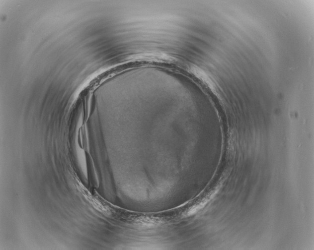 X0000088080923200706011535