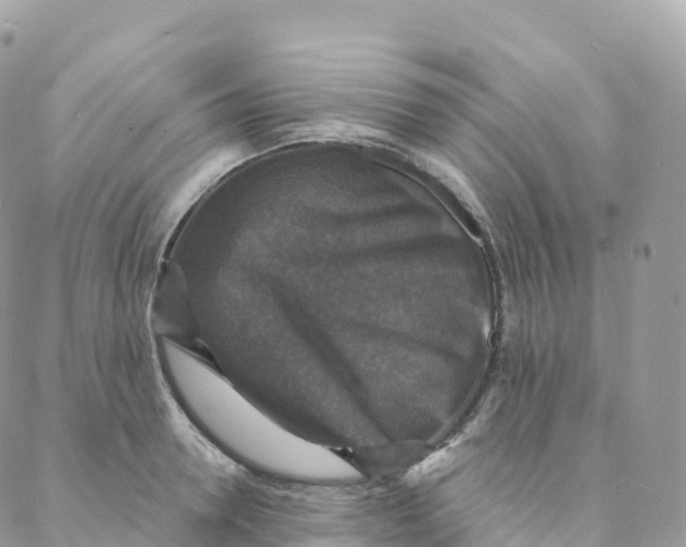 X0000088080946200706011535