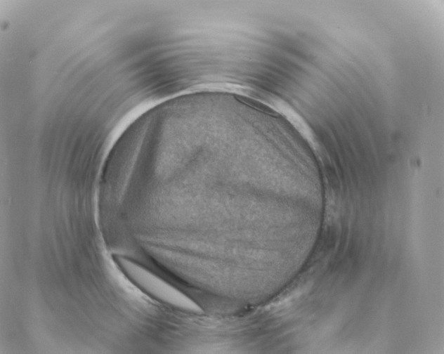 X0000088080955200706011535