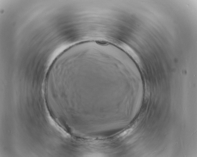 X0000088080958200706011535