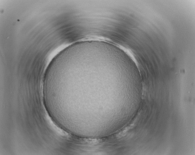 X0000088081003200706011534
