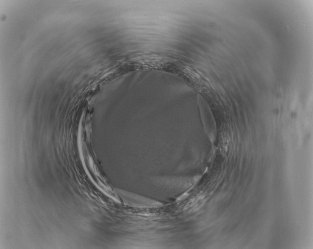 X0000088081010200706011533