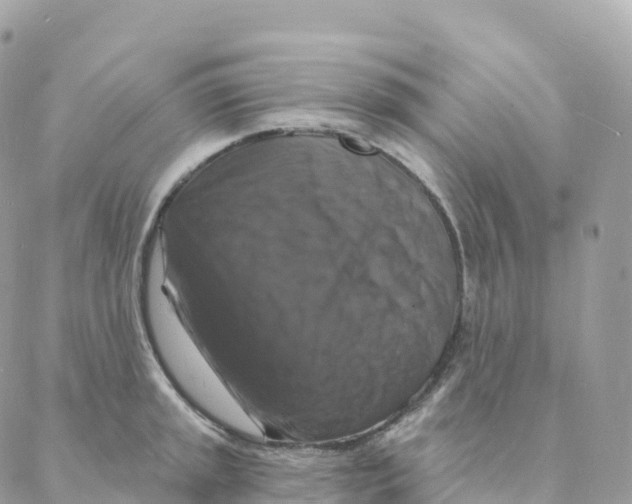 X0000088081045200706011534