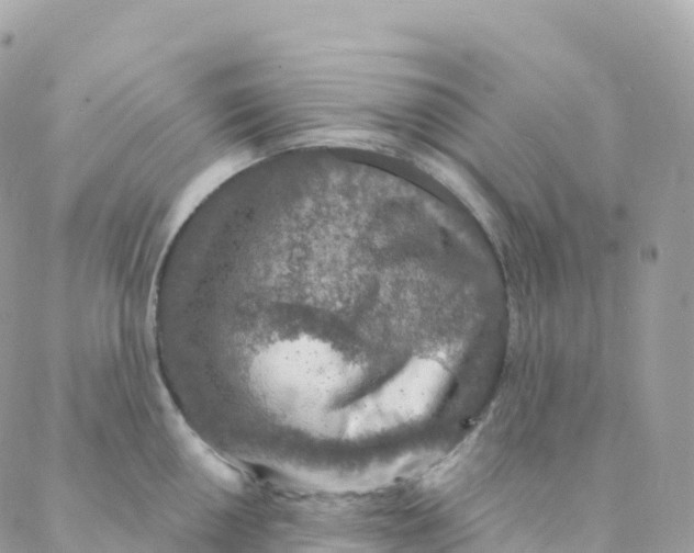 X0000088081050200706011534