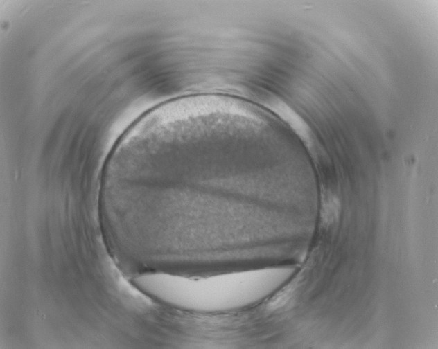 X0000088081102200706011532