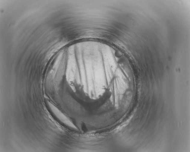 X0000088081121200706011532