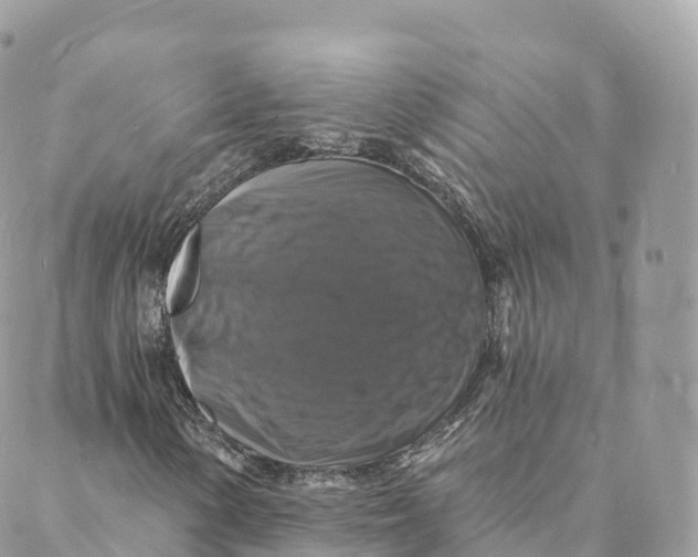 X0000088081154200706011531