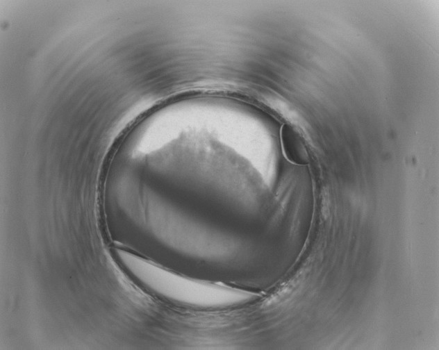 X0000088081229200706011530