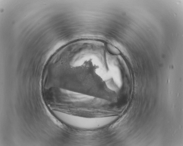 X0000088081237200706011530