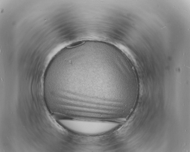 X0000088081238200706011530