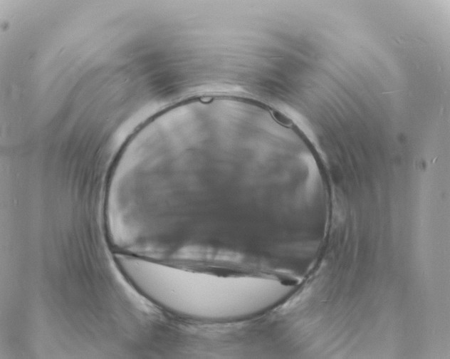 X0000088081245200706011531