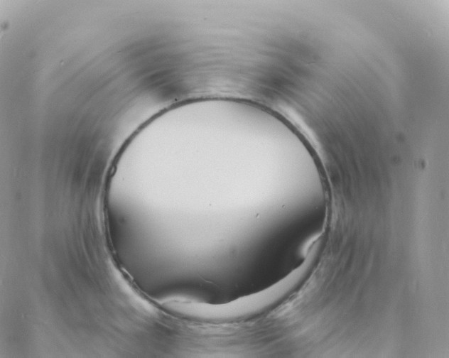X0000088081293200706011529
