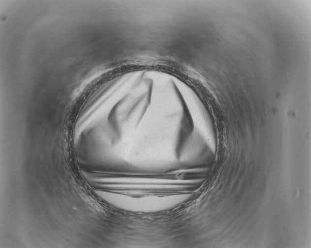 X0000088081304200706011528