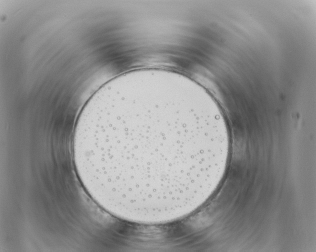 X0000088081338200706011529