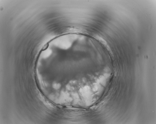X0000088081427200706011527