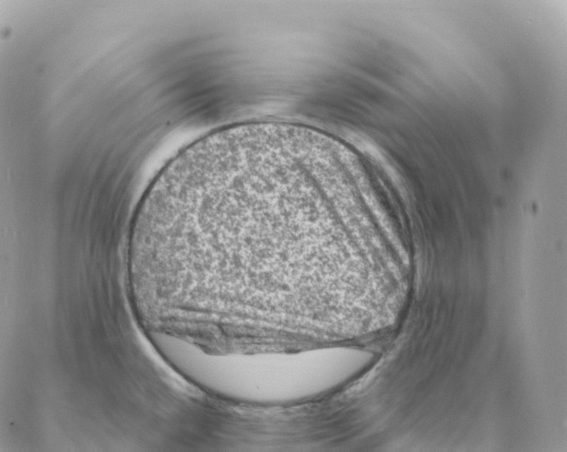 X0000088081432200706011527