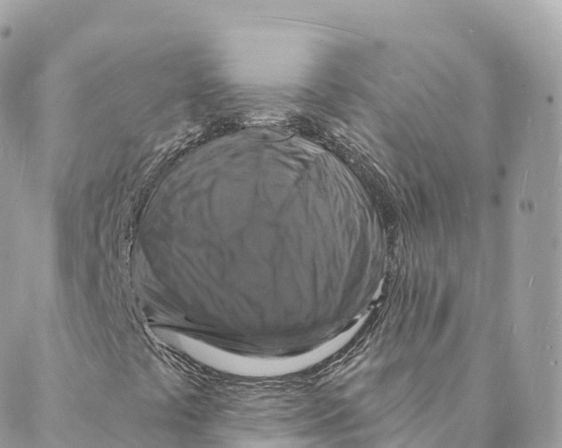 X0000088081441200706011527