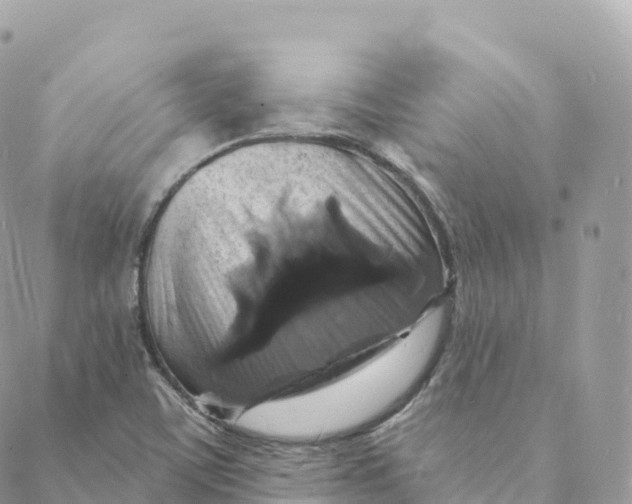 X0000088081459200706011526