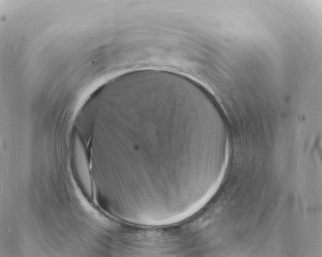 X0000088081515200706011526