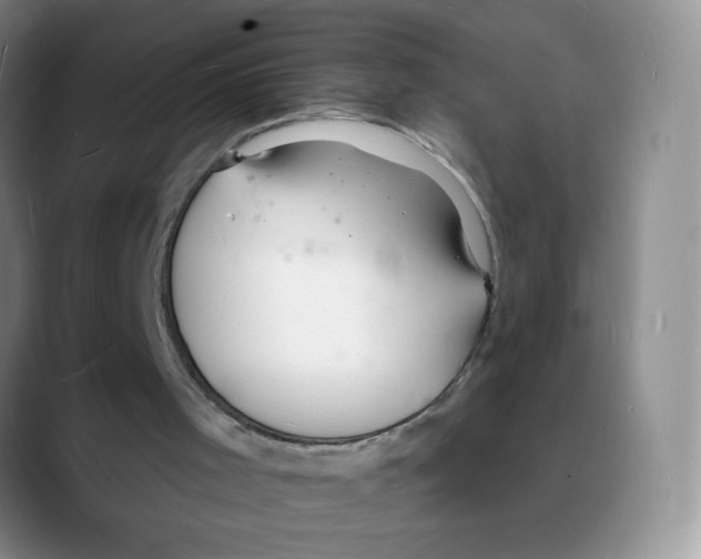 X0000088080001200706081739