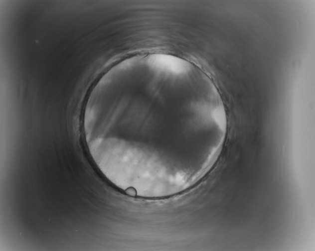 X0000088080002200706081739