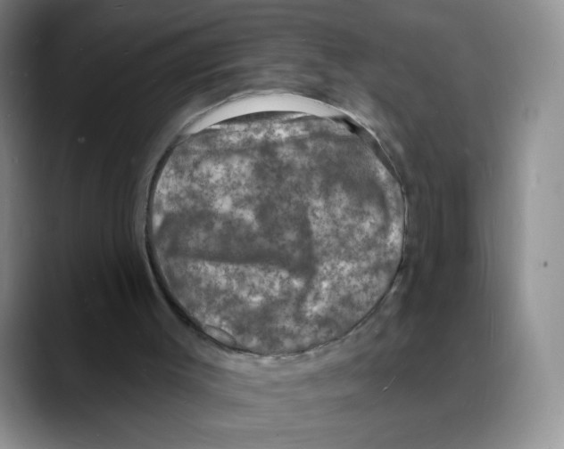 X0000088080003200706081739