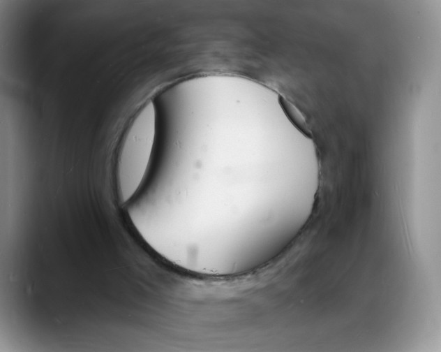 X0000088080005200706081739