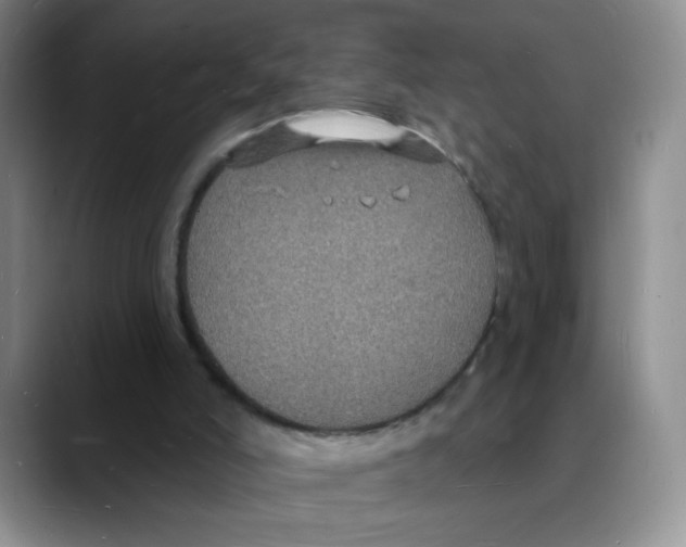 X0000088080006200706081739