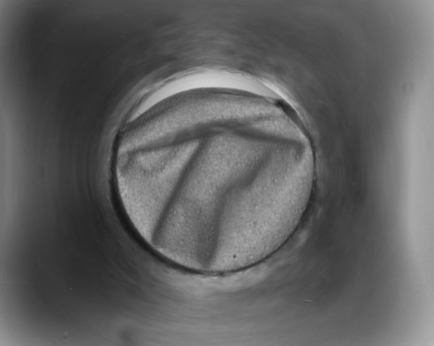 X0000088080007200706081739