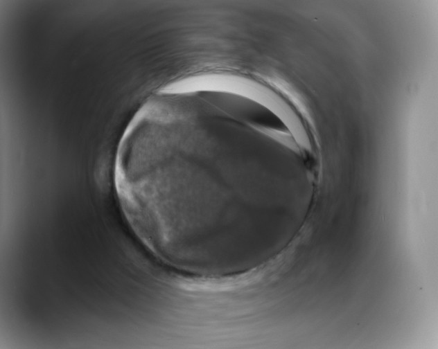 X0000088080009200706081739